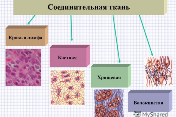 Какой кракен сейчас работает