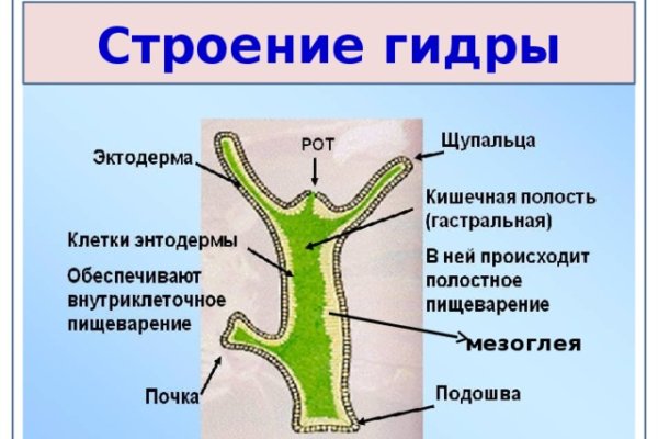 Магазин кракен в москве наркотики